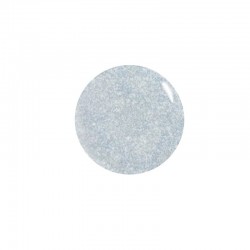 TOP FLEX GLITTER HOLOGRAPHIC 15 Ml BNA