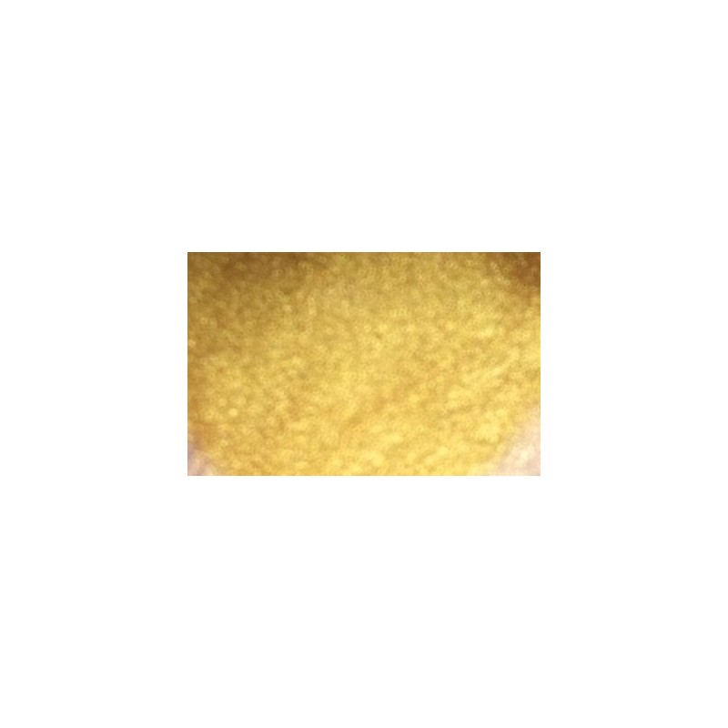 Gel couleur GOLD TANYA Gel couleur GOLD TANYA