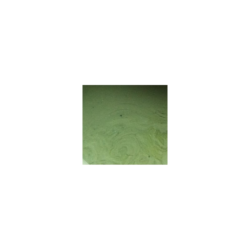 Gel couleur MILITAIRE TANYA Gel couleur MILITAIRE TANYA